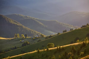 Meble reklamowe: Klucz do Efektywnej Promocji Twojej Marki